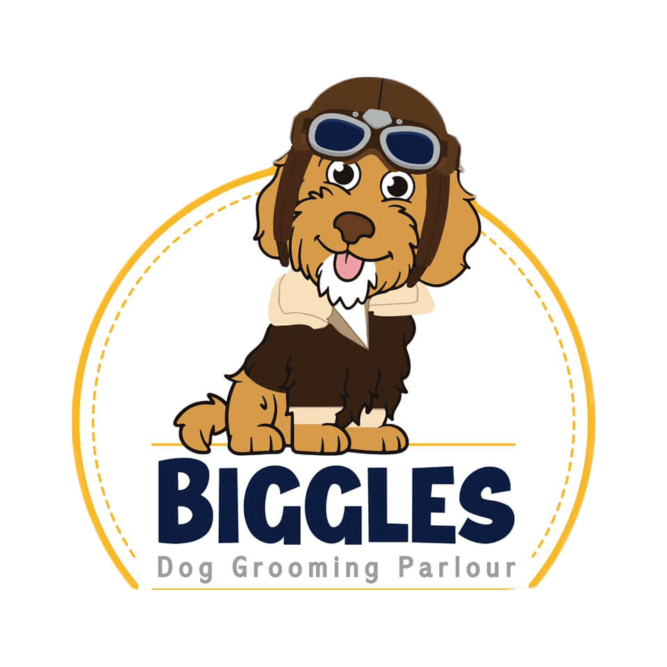 Biggles Dog Grooming Parlour Logo