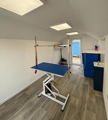 Interior of Dog Grooming Parlour in Barton-On-Sea.